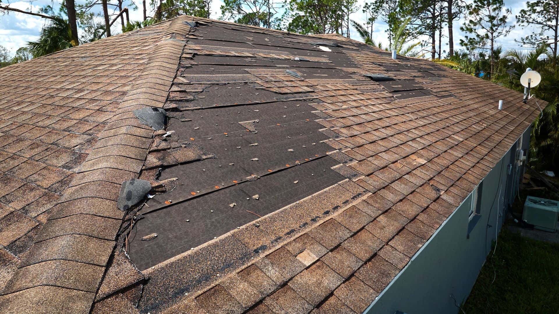 Wind Damaged Roof Shingles